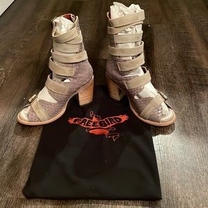 Freebird BOND Taupe Croc Buckle Heel